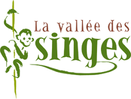 La valle des singes 