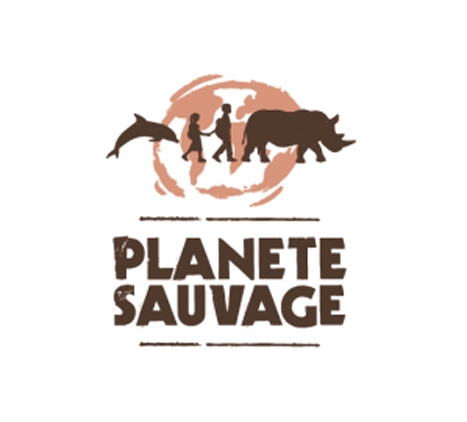 Plante Sauvage