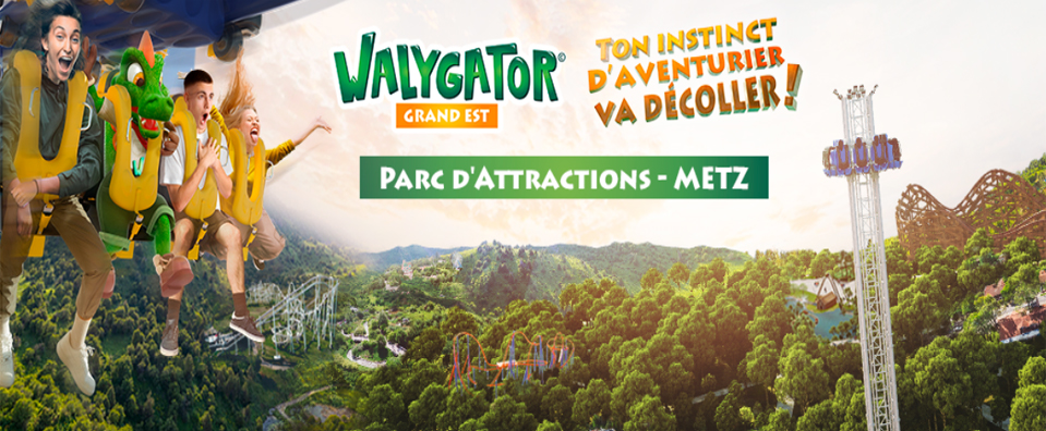 Walygator - 501