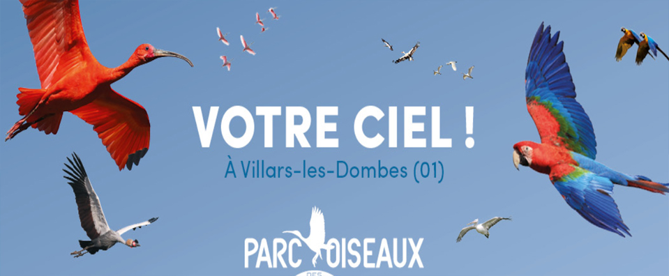 Parc des Oiseaux  - 496