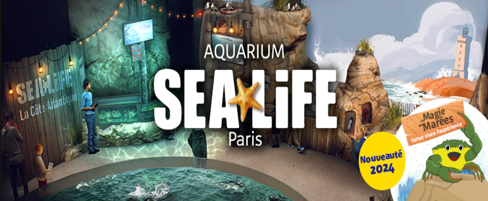 Sealife - 482
