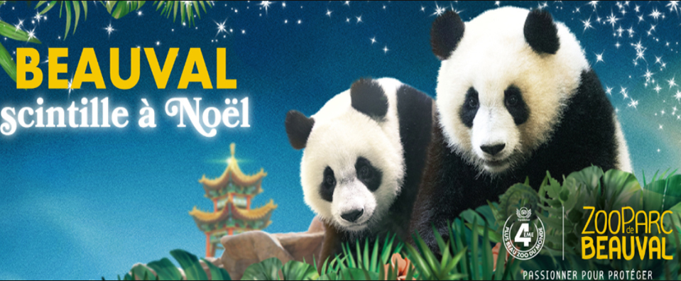 Zoo de Beauval - 416