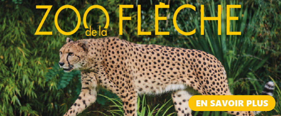 Zoo de la flèche - 382